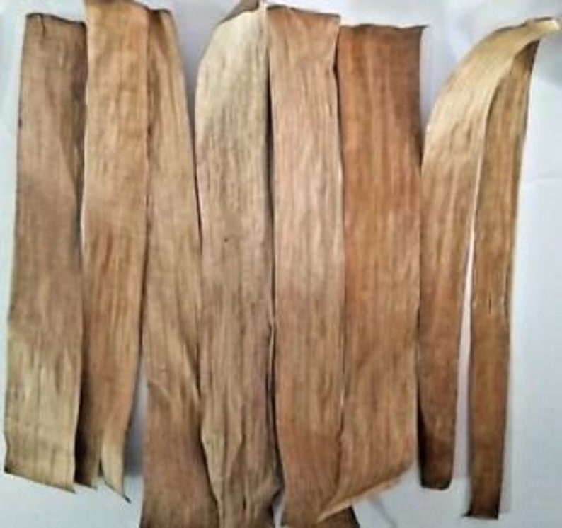 Dried Banana Leaves Origin Pet Supplies Care FishArt Etsy