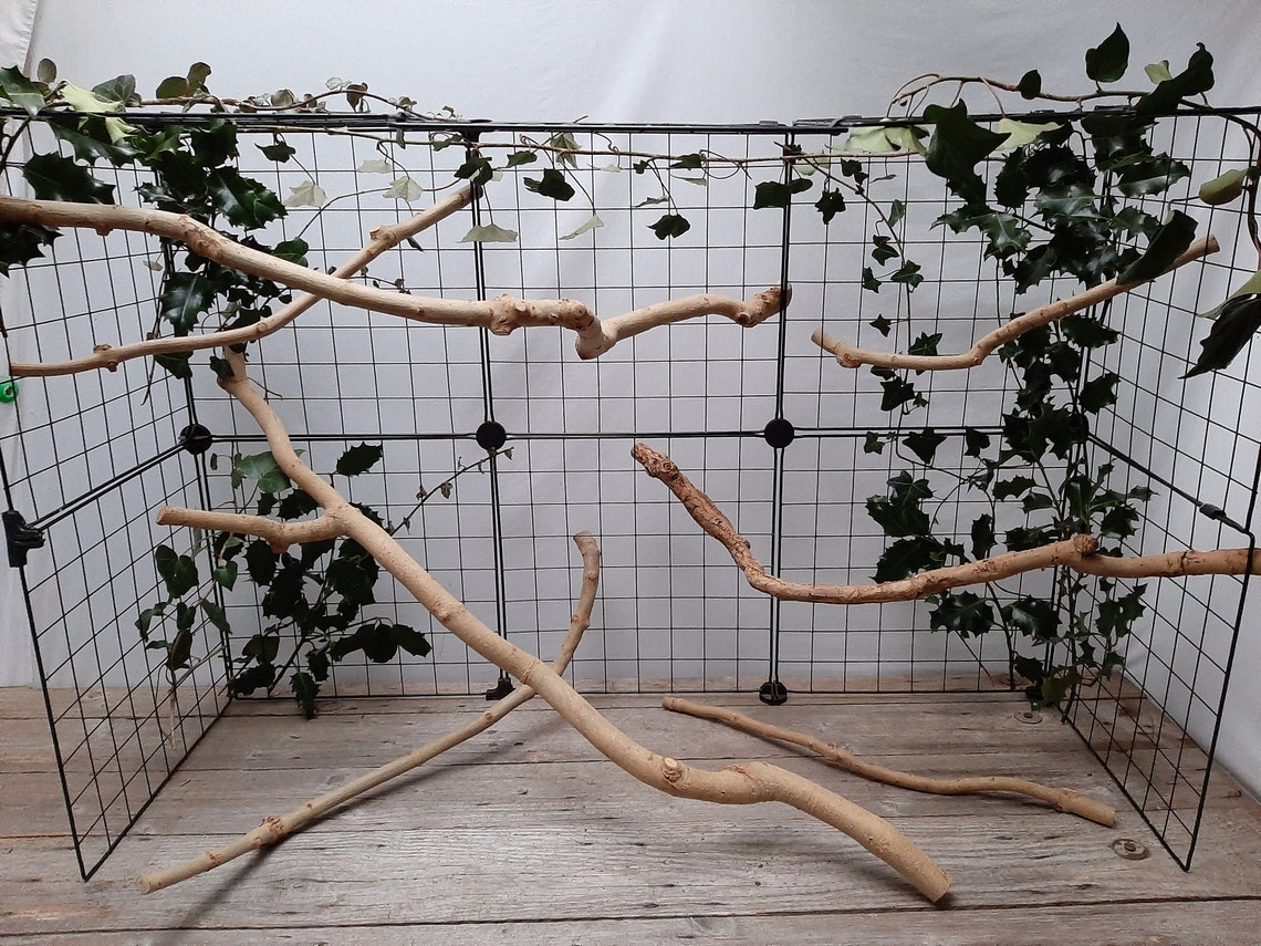 Natural wooden branch Etsy