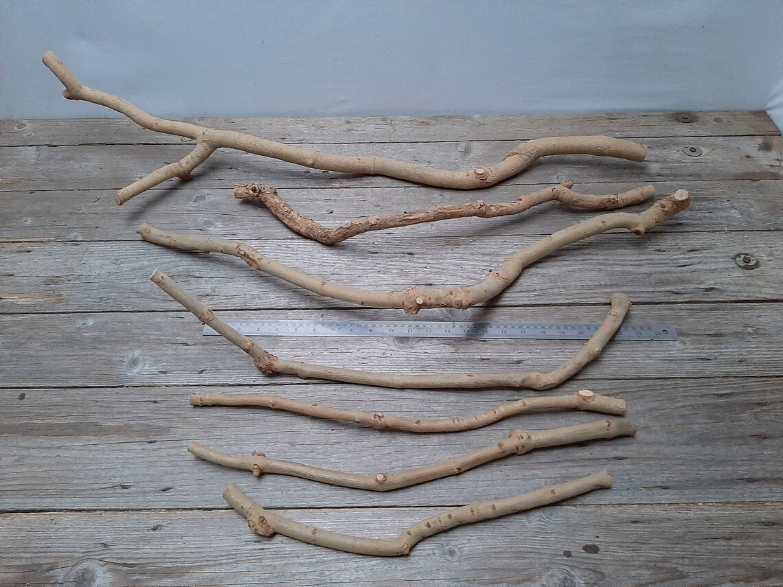 Natural wooden branch Etsy
