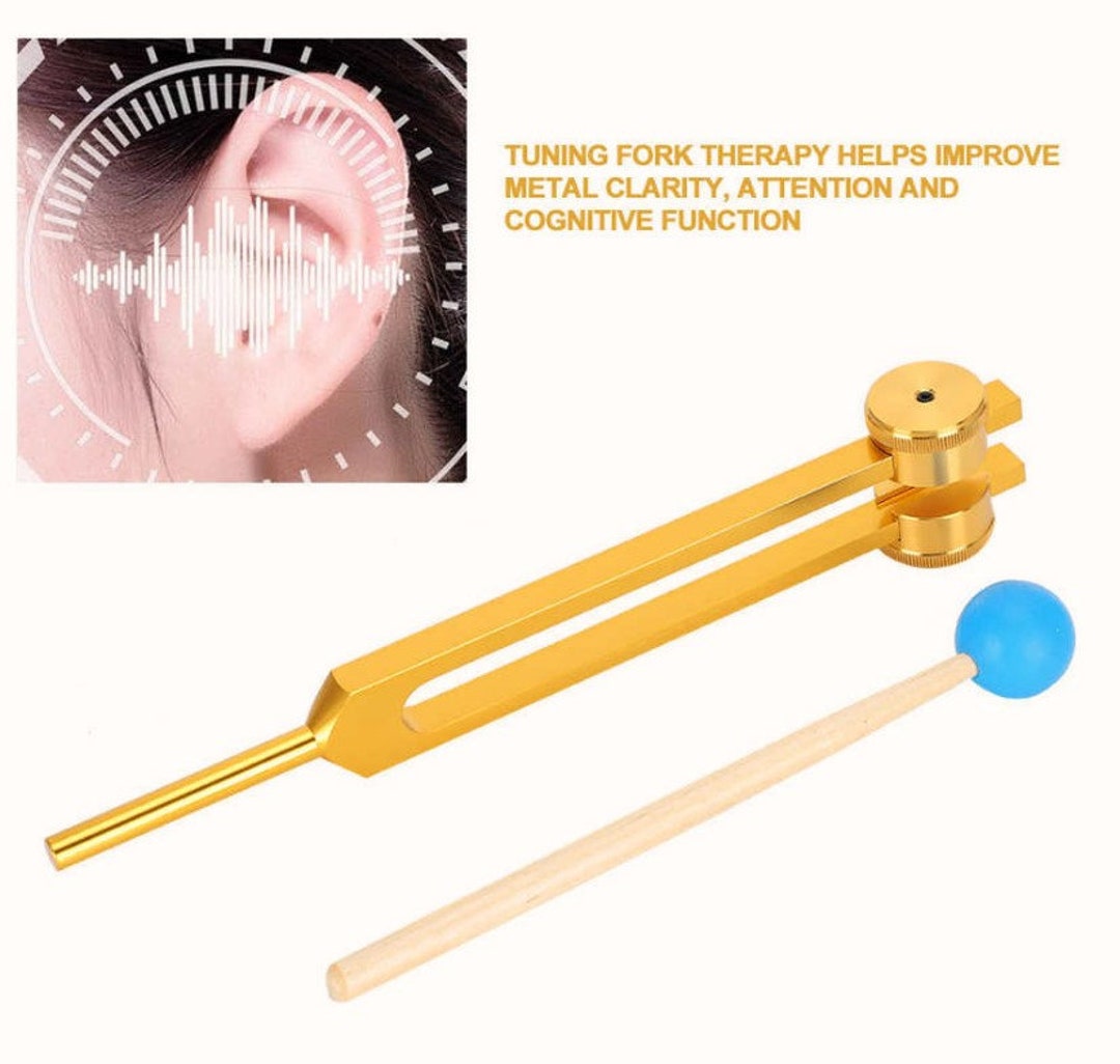 HomeDecTime Diapason Avec Pochette Fréquence A-442 - Instrument Précis Pour Violon Et Musique