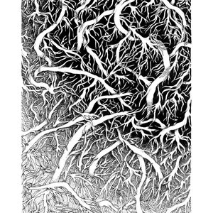 Puede incluir: Dibujo en tinta negra y blanca de una red compleja de ramas y raíces, creando un patrón denso e intrincado.