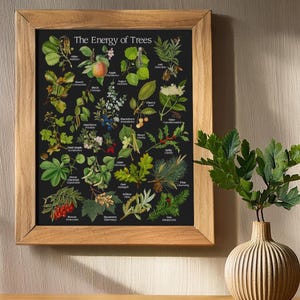 May include: A framed print with a black background and illustrations of different trees and their associated energies. The title of the print is "The Energy of Trees".