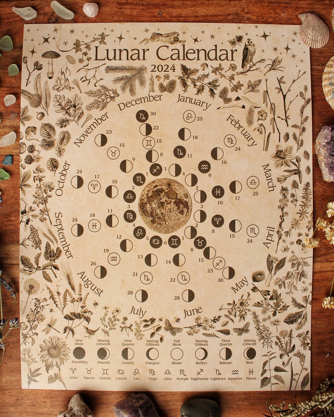 Large Lunar Calendar 2024 11x14 Print, Moon Phases. Pagan. Moon