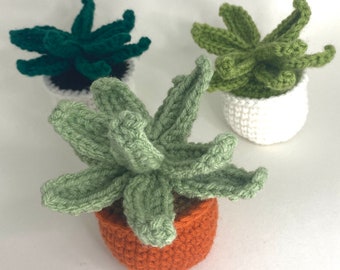 May include: Three crocheted succulent plants in pots. One pot is white, one is orange, and one is black. The succulents are green and have a realistic appearance.
