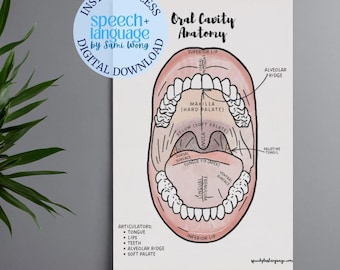 Oral Cavity Anatomy Labeled Poster 18x24" | SLP Instructional Print (Digital Download)