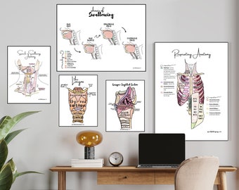Speech Therapy Anatomy & Physiology Poster Pack - Labeled Diagrams - Set of 5 Study Prints - Office Decor for SLPs (Digital Download)