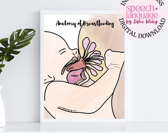 Anatomy of Breastfeeding/Chestfeeding Diagram | SLP and Infant Feeding Clinic Educational Poster 18x24"