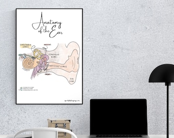 Audiology Anatomy Ear Poster | AuD, SLP Educational Print (Digital Download)