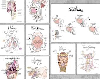 Speech Therapy Office Decor Poster Set - Aesthetic Anatomy Essential Prints, Set of 9 SLP Designs (Digital Download)