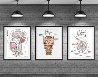 Anatomy & Physiology SLP Labeled Posters - Set of 3 | speechie educational instant digital download posters 18x24