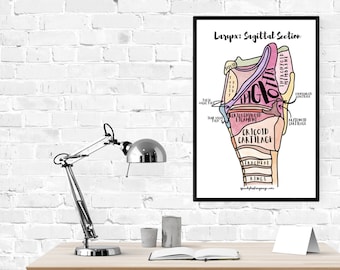 Larynx Anatomy Poster: Sagittal Section Diagram for SLP (Digital Download)