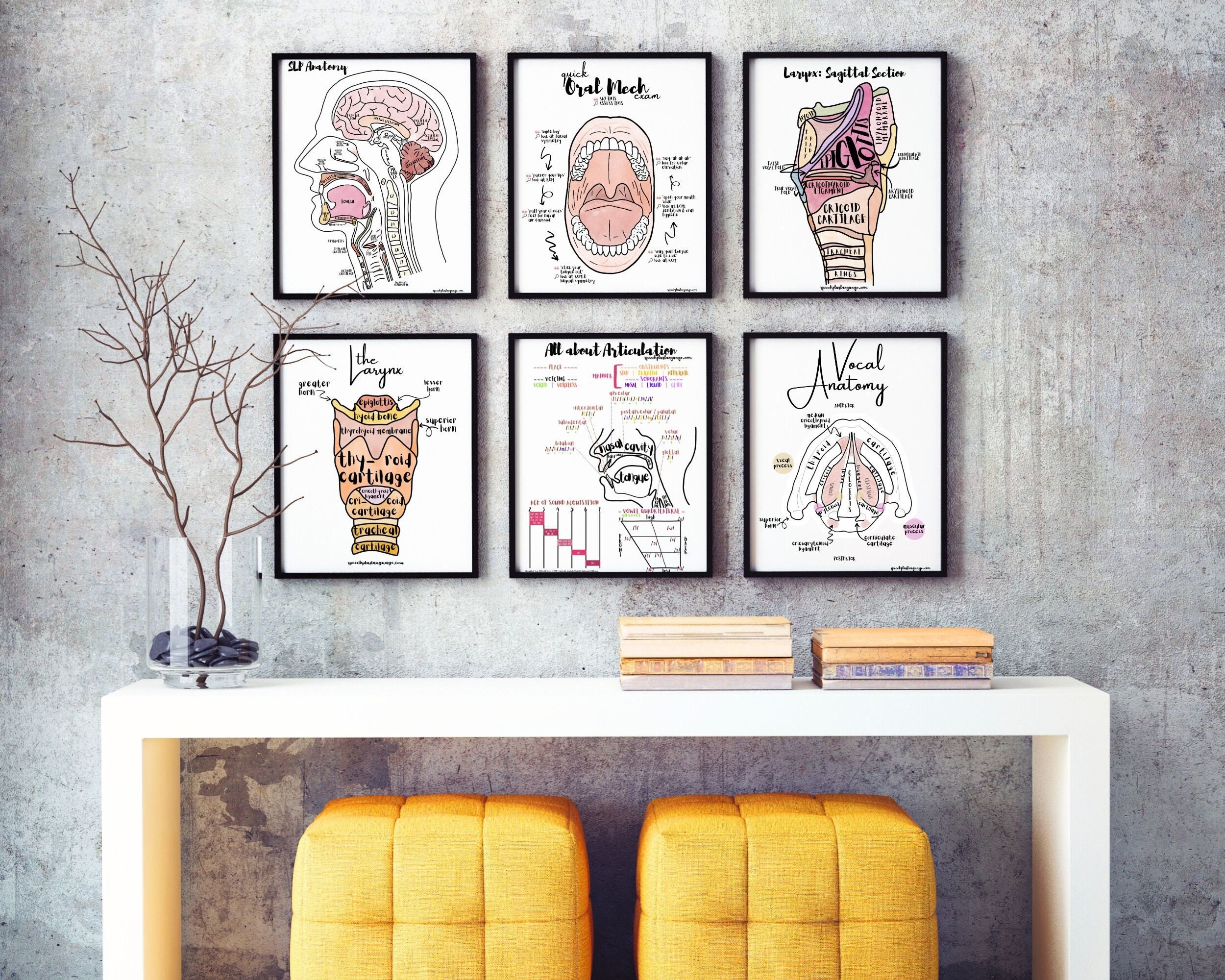 SLP Essential Posters - Set of 6 | A&P, Articulation, and Oral Mech | educational instant digital download posters 11x14 and 18x24