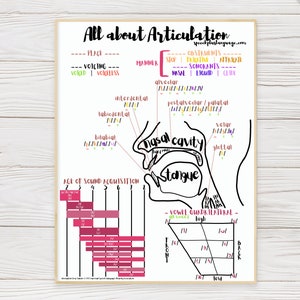 All about Articulation: Anatomy and Place, Manner, Voicing Poster with S Age Norms in pink | SLP educational digital download poster 18x24