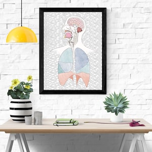 A&P SLP Anatomy Brain to Diaphragm Scope of Practice Poster | SLP essential educational instant digital download poster 11x14 and 18x24