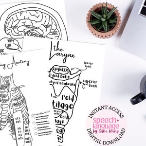 DIY SLP Anatomie + Physiologie Studie Hilfe Malvorlagen - 8er-Set | Spedie-Lernmaterial sofort digital download 21x28 cm