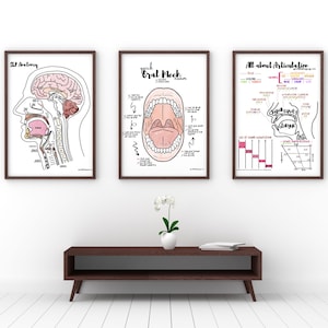 Anatomy, Oral Mech, & Articulation SLP Labeled Posters - Set of 3 | speechie educational instant digital download posters 18x24