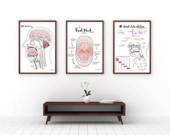 Speech Therapy Office Decor Poster Pack - Anatomy & Articulation Labeled Diagrams, Set of 3 Aesthetic Study Prints (Digital Download)