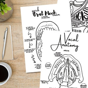DIY SLP Anatomy + Physiology Study Help Coloring Pages - Set of 8 | speechie educational instant digital download 8.5x11"