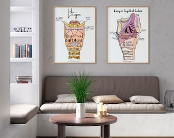 Larynx Anatomy Diagram Poster Set | SLP Education (Digital Download)