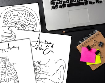 Edu Edition: DIY SLP Anatomy + Physiology Coloring Pages - 2 Sets of 9 with & without labels for practice | instant digital download 8.5x11"