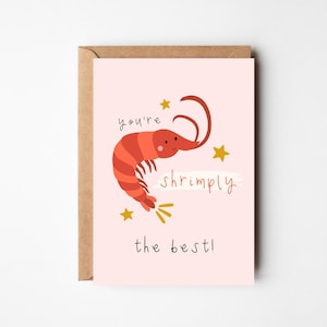 Carte Shrimply The Best A6 | de remerciements | Carte mignonne de jeu de mots | Carte réfléchie | carte pour un ami | Meilleur ami | Meilleure amie | Carte Je t'aime