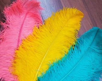 5 pieces of 18-22" Ostrich Plumes Feathers, Carnival Prime Drabs Wedding Centerpiece Decor, Ostrich Feathers