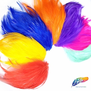 Puede incluir: Una colección de plumas de colores dispuestas en semicírculo. Las plumas son de los siguientes colores: rojo, amarillo, azul, naranja, morado, rosa y verde. Todas las plumas están recortadas y listas para usarse en proyectos de manualidades.