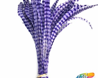 10-12" Purple Bleached Dyed Coque Fringe with Stripes, Striped Rooster Tail Colored Fringe by half yard (18")