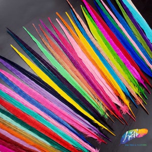 4 pieces 18-20&quot; Bleached Dyed Ringneck Pheasant Tail Feathers, Long Different Color Dyed Ringneck for Headpiece and costume