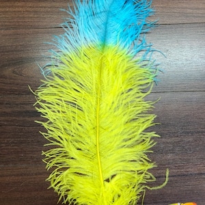 19-22&quot; 2-tone Ostrich Plumes, Carnival Prime Drabs Wedding Centerpiece Decor, Dual Colored Ostrich Plumes, Colored Tips Ostrich Plumes