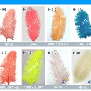 May include: A collection of eleven ostrich plumes labeled HAI TRIM & FEATHERS OSTRICH PLUMES, featuring colors including celadon, peach, coral, honey orange, dark teal, tiffany blue, neon green, coral orange, neon yellow, pale pink, and beige.