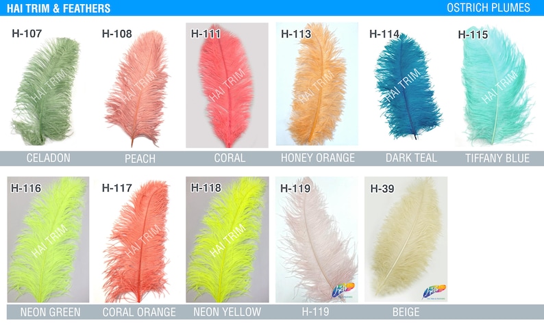 May include: A collection of eleven ostrich plumes labeled HAI TRIM & FEATHERS OSTRICH PLUMES, featuring colors including celadon, peach, coral, honey orange, dark teal, tiffany blue, neon green, coral orange, neon yellow, pale pink, and beige.
