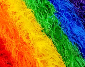 May include: A vibrant rainbow-colored feather boa featuring long, soft plumes arranged in diagonal stripes of red, orange, yellow, green, blue, and purple. The texture is dense and fluffy, showcasing a full spectrum of bright, saturated colors.