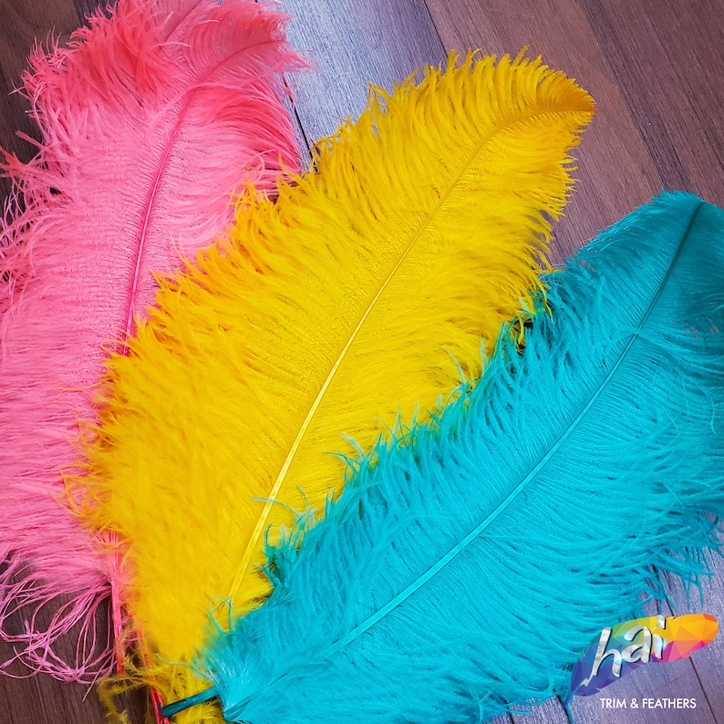 May include: Three large, fluffy ostrich feathers in vibrant colors: one hot pink, one bright yellow, and one turquoise blue. Each feather features a long, central quill and soft, wispy barbs. The text "hai TRIM & FEATHERS" appears in the corner.