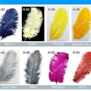 May include: A collection of twelve ostrich plumes labeled HAI TRIM & FEATHERS, featuring various colors including royal blue, navy, ivory, yellow, mustard, tan, nude, light gray, gray, magenta, rust, and burgundy, each with a specific code.