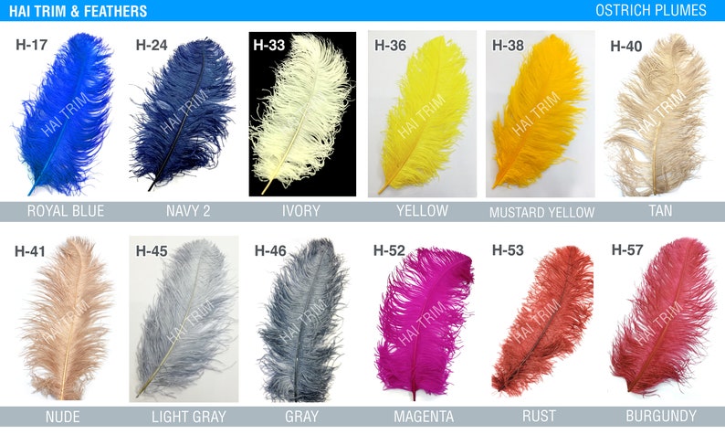 May include: A collection of twelve ostrich plumes labeled HAI TRIM & FEATHERS, featuring various colors including royal blue, navy, ivory, yellow, mustard, tan, nude, light gray, gray, magenta, rust, and burgundy, each with a specific code.