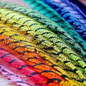 30-35 Inch Long Natural Dyed Zebra Pheasant Tails, Natural Pheasant Tails, Craft Feathers, Carnival Feathers (6 pieces)