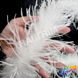 Könnte beinhalten: Nahaufnahme von weißen, flauschigen Federn. Die Federn sind weich und zart, mit einer federartigen Textur. Das Bild enthält den Text "HAI TRIM". Die Federn werden wahrscheinlich für Bastel- oder Dekorationszwecke verwendet.