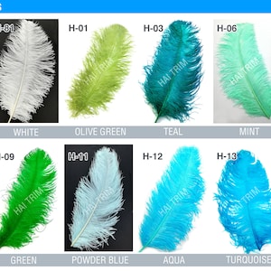 May include: A collection of twelve ostrich plumes labeled HAI TRIM & FEATHERS OSTRICH PLUMES, featuring colors including black, white, olive green, teal, mint, lime, deep lime, green, powder blue, aqua, turquoise, and baby blue with codes H-80 to H-15.