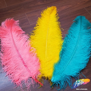 May include: Three large ostrich feathers in bright pink, vibrant yellow, and turquoise blue. Each feather features a long, central quill with soft, wispy barbs extending outward. A logo in the bottom right corner reads hai TRIM & FEATHERS.