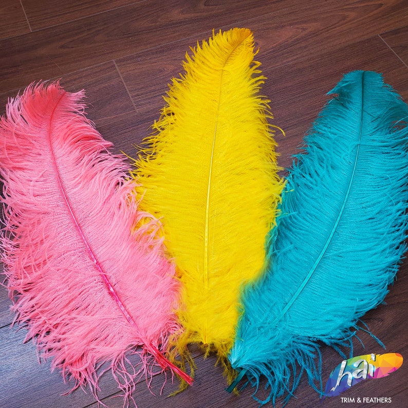 May include: Three large ostrich feathers in bright pink, vibrant yellow, and turquoise blue. Each feather features a long, central quill with soft, wispy barbs extending outward. A logo in the bottom right corner reads hai TRIM & FEATHERS.