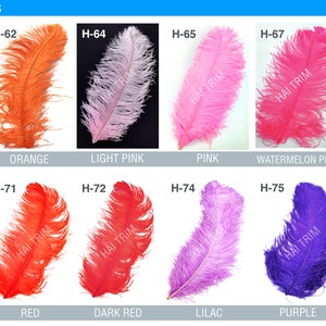 May include: A collection of twelve ostrich plumes labeled HAI TRIM & FEATHERS in various colors including light peach, orange, light pink, pink, watermelon pink, hot pink, fuchsia, red, dark red, lilac, purple, and dark purple with codes H-58 to H-79.