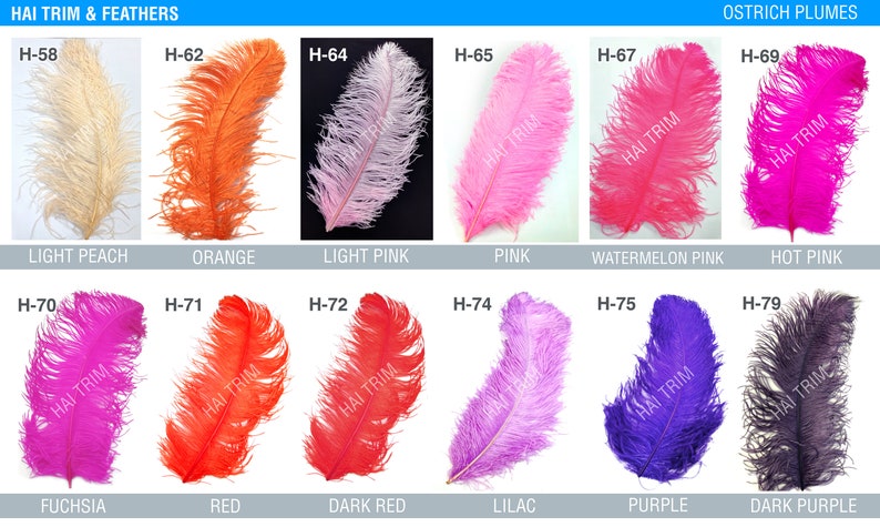 May include: A collection of twelve ostrich plumes labeled HAI TRIM & FEATHERS in various colors including light peach, orange, light pink, pink, watermelon pink, hot pink, fuchsia, red, dark red, lilac, purple, and dark purple with codes H-58 to H-79.