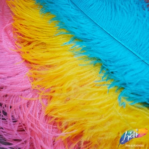 May include: Three large ostrich feathers in bright pink, vibrant yellow, and turquoise blue arranged in a layered diagonal pattern. A small logo in the bottom right corner features the text hai TRIM & FEATHERS with a colorful geometric shape.