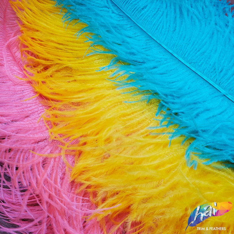 May include: Three large ostrich feathers in bright pink, vibrant yellow, and turquoise blue arranged in a layered diagonal pattern. A small logo in the bottom right corner features the text hai TRIM & FEATHERS with a colorful geometric shape.