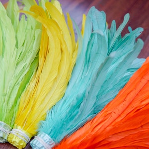 May include: Five colorful feather boas in shades of tan, green, yellow, blue, and orange. The boas are arranged in a row on a wooden surface.
