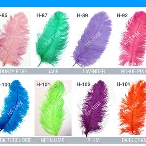 May include: A collection of twelve ostrich plumes labeled HAI TRIM & FEATHERS OSTRICH PLUMES, featuring colors including brown, dusty rose, jade, lavender, rogue pink, cornflower, dark gray, dark turquoise, neon lime, plum, dark orange, and gold.