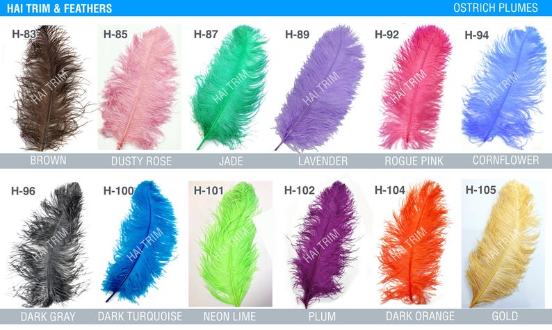 May include: A collection of twelve ostrich plumes labeled HAI TRIM & FEATHERS OSTRICH PLUMES, featuring colors including brown, dusty rose, jade, lavender, rogue pink, cornflower, dark gray, dark turquoise, neon lime, plum, dark orange, and gold.