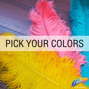 May include: Three large ostrich feathers in bright yellow, hot pink, and turquoise blue. The text PICK YOUR COLORS is centered in black capital letters. A small logo in the bottom right corner reads hai TRIM & FEATHERS in white text.