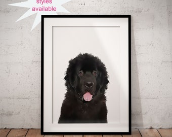 Newfie Mom All Breeds Available Newfoundland Dog Dog Lover Pet Wreath Pet Decor Newfoundland Decor Newfoundland Dog Wreath